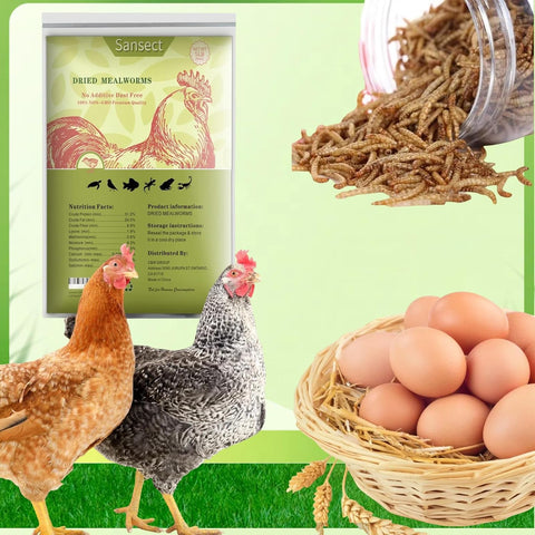 SANSECT 20LB Dried Mealworms for Chickens, Ducks, Wild Birds, Reptile Food