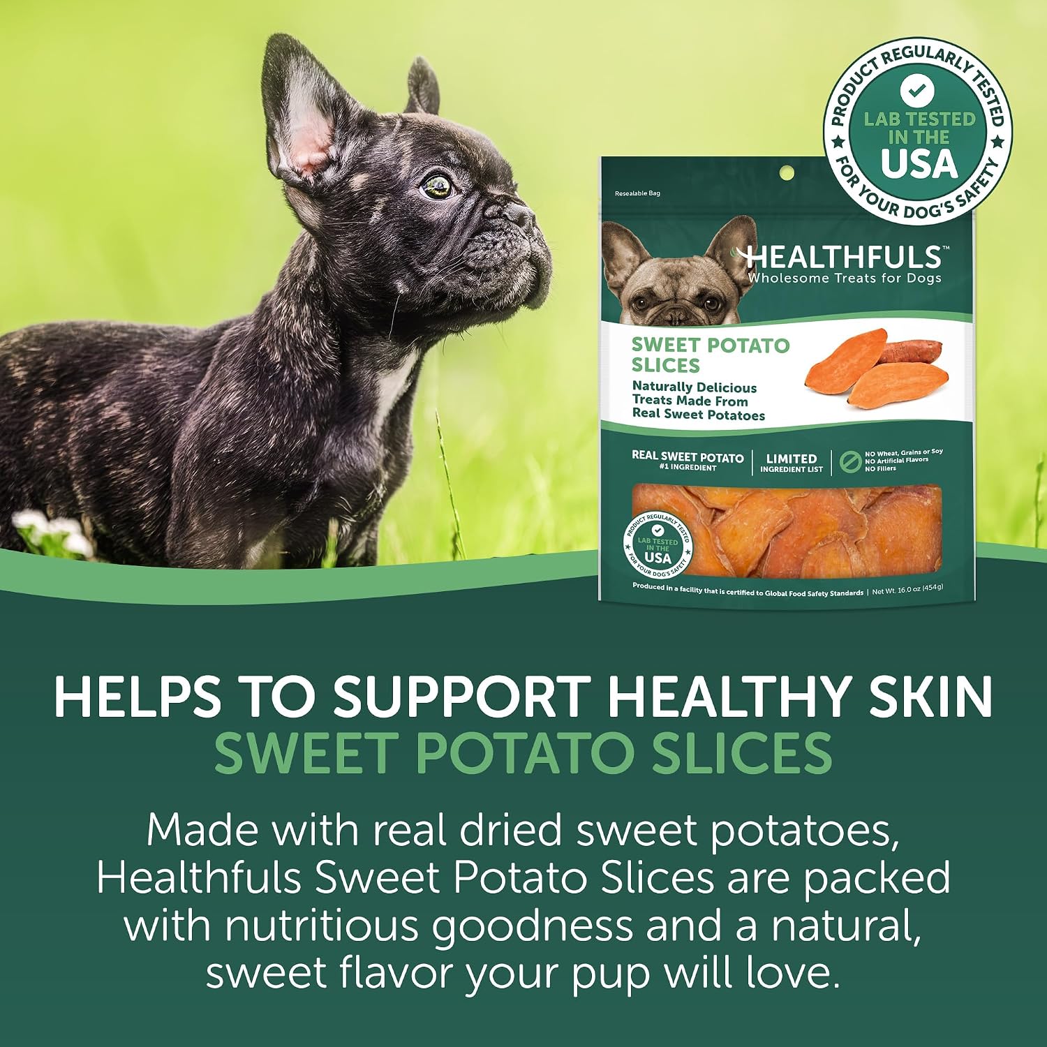HEALTHFULS Real Dried Sweet Potato Slices, Grain Free Dog Treats, 16 oz