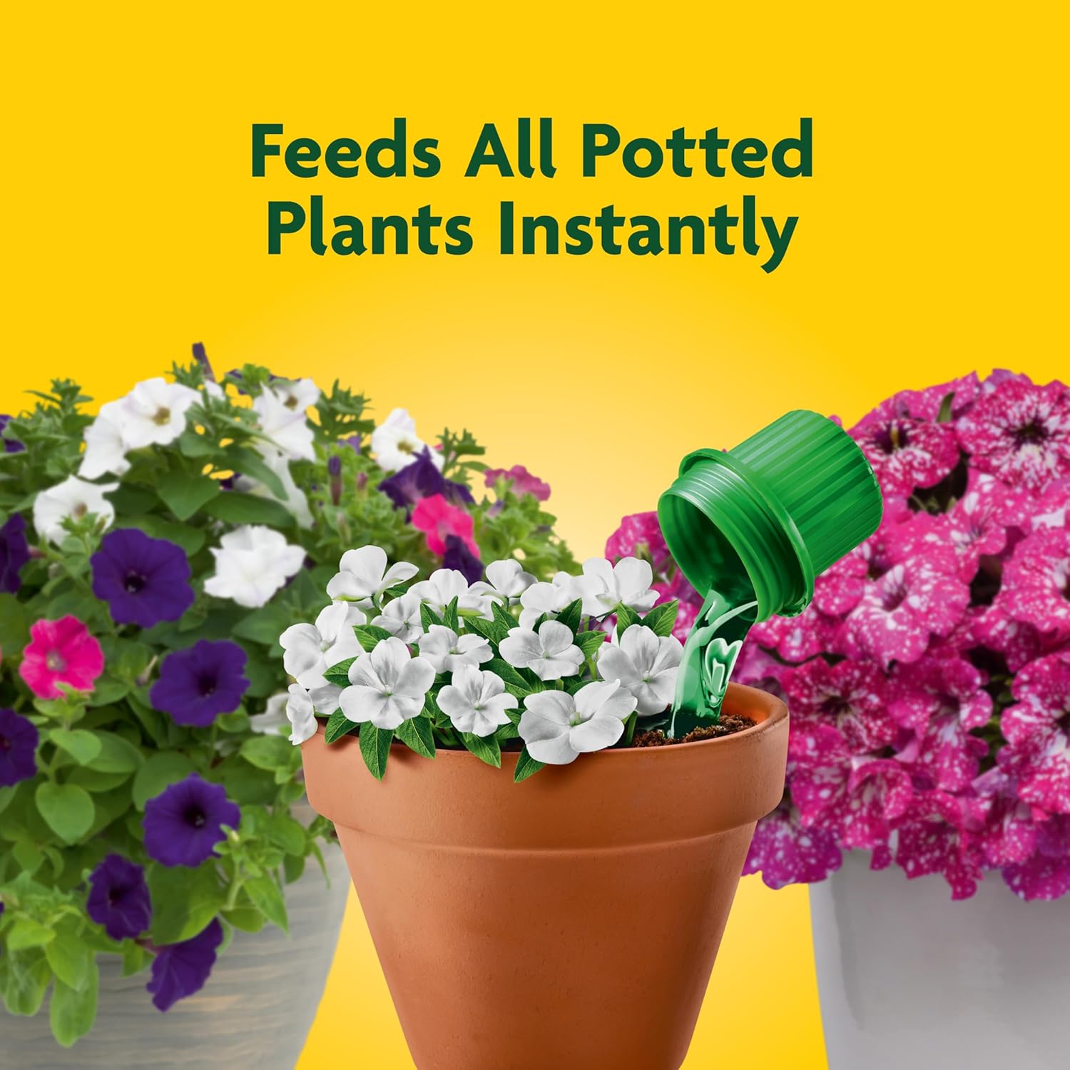 Miracle-Gro Pour & Feed Plant Food, 32 fl. oz.