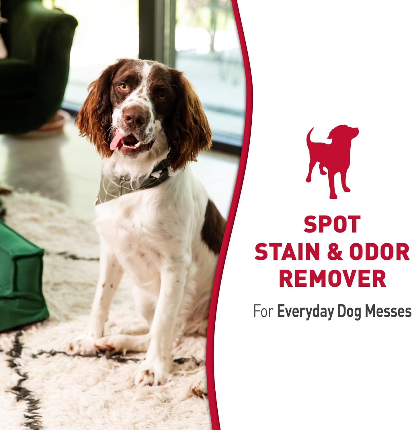 Nature’s Miracle Dog Stain & Odor Remover, Enzymatic Cleaner, 32 oz