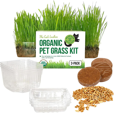 The Cat Ladies Cat Grass for Indoor Cats - Growing Kit - Organic Cat Grass Seeds, Soil and BPA Free Containers (Non GMO) - Locally Sourced Seeds! (3 Pack)