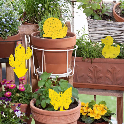 Gideal 24-Pack Dual-Sided Yellow Sticky Traps for Indoor/Outdoor Use, Gnat Trap for Flying Plant Insect Such as Fungus Gnats, Whiteflies, Aphids, Fruit Fly, Leafminers, etc - Cute Shapes