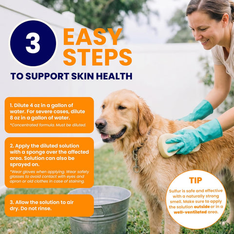 Healthy Paw Life - Lime Sulfur Dip - Pet Care for Itchy and Dry Skin - Xtra Strength Formula - Safe Solution for Dog, Cat, Puppy, Kitten, Horse (1 Gallon)