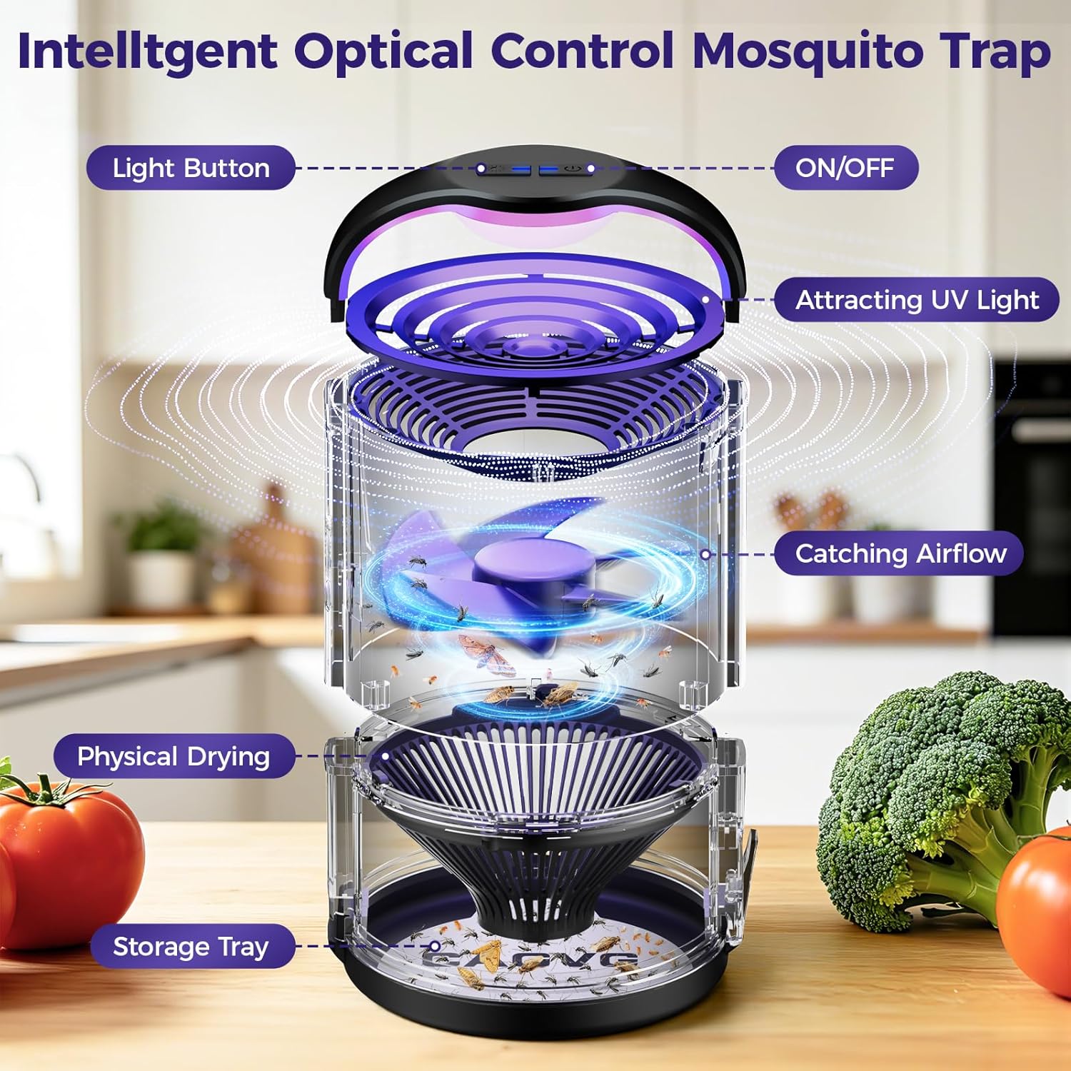 Fly Trap Indoor, Fruit Fly Traps for Indoors Suction & Adjust Light, Black