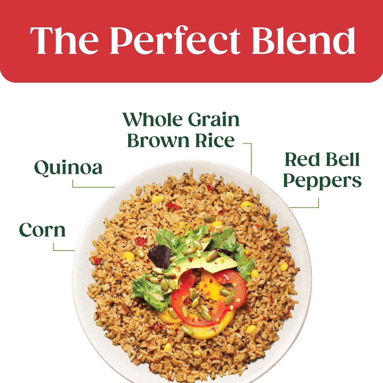SEEDS OF CHANGE Certified Organic Spanish Style Rice With Quinoa, Peppers & Corn, Organic Food (Pack of 12)