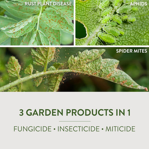 Garden Safe Brand Fungicide3 with Neem Oil, Organic Gardening, 32 Oz, 6 Pk