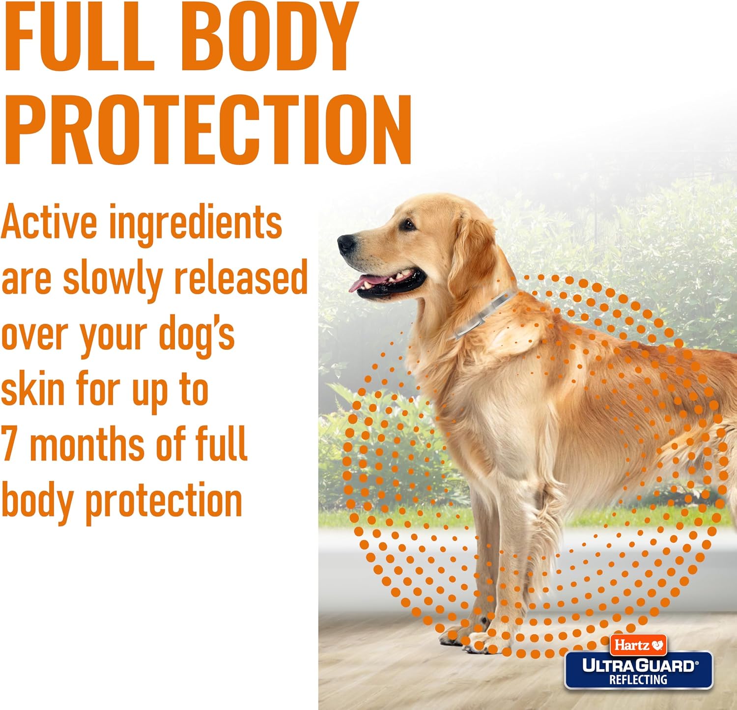 Hartz UltraGuard Flea & Tick Collar for Dogs and Puppies, 7 Month Flea and Tick Protection and Prevention Per Collar, White, Up to 20 Inch Neck