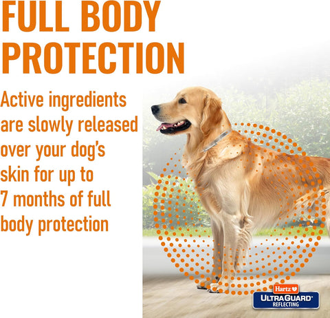 Hartz UltraGuard Flea & Tick Collar for Dogs and Puppies, 7 Month Flea and Tick Protection and Prevention Per Collar, White, Up to 20 Inch Neck