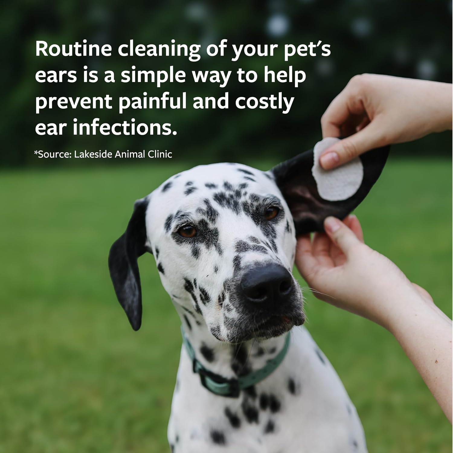 Veterinary Formula Clinical Care Ear Therapy Cleaner for Dogs & Cats, 4 oz
