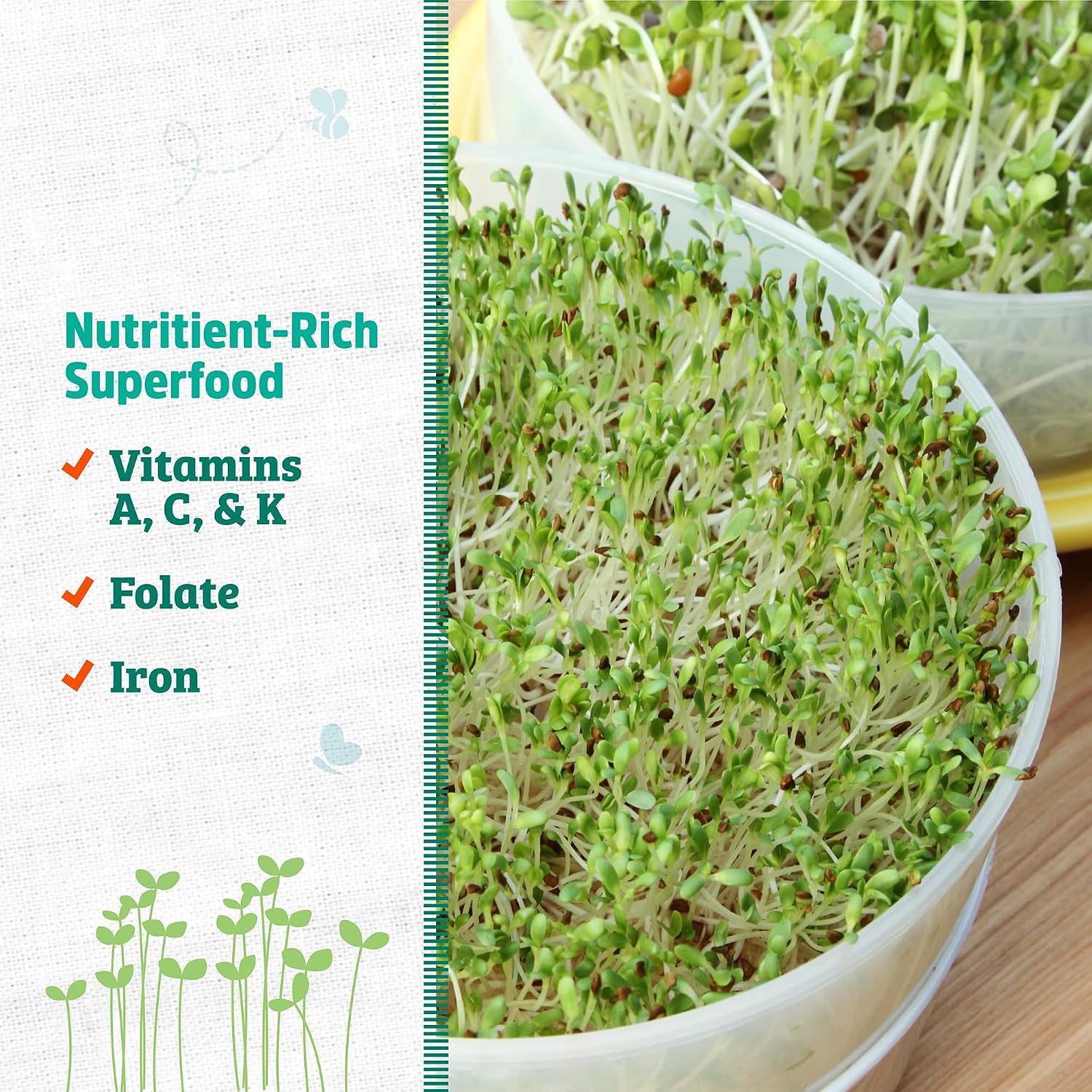 Back to the Roots 100% Organic Alfalfa Seeds | 1 Pound Non-GMO | Nutrient Dense, Easy to Grow, Rich in Fiber