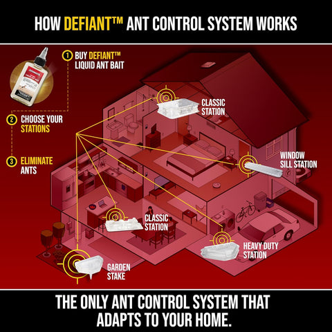 Catchmaster Defiant Liquid Ant Killer & Bait, Sugar Ant Traps Indoor