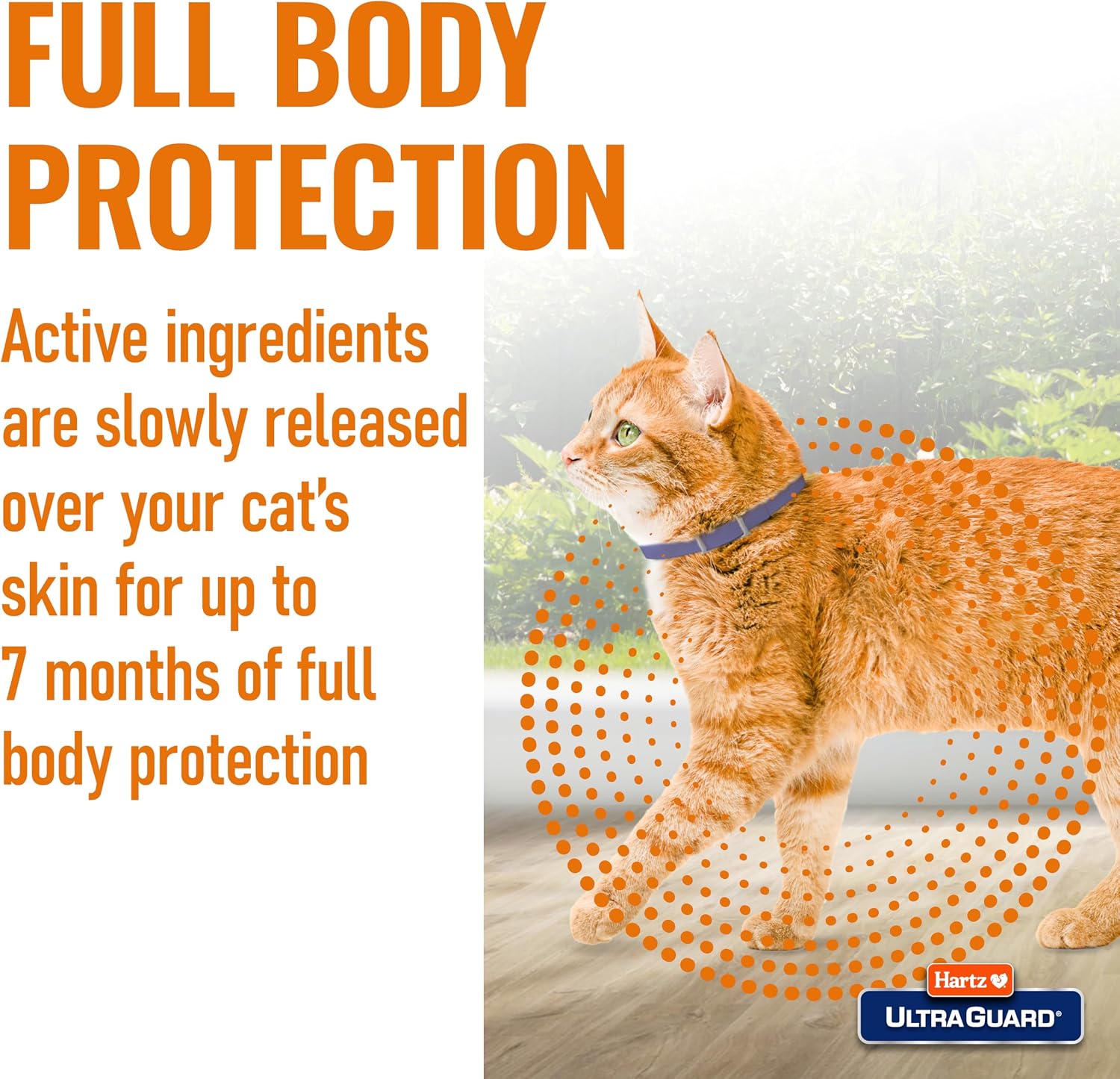 Hartz UltraGuard Flea & Tick Collar for Cats and Kittens, 7 Month Flea and Tick Protection and Prevention, White