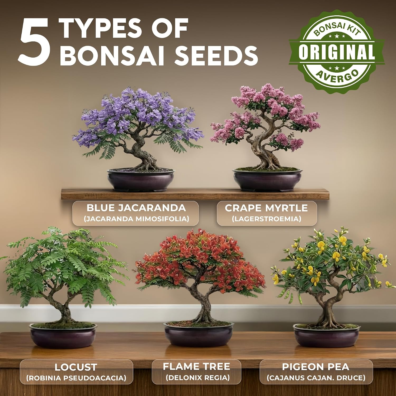Bonsai Tree Kit Deluxe - Growing 5 Unique Japanese Bonzai Trees
