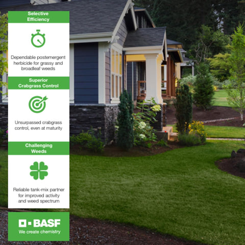 BASF Drive XLR8 Crabgrass Killer for Lawn & Turf, Post Emergent Grassy & Broadleaf Weed Control, Active Ingredient Quinclorac, 30 Day Residual, Herbicide, Concentrate 64 Ounce