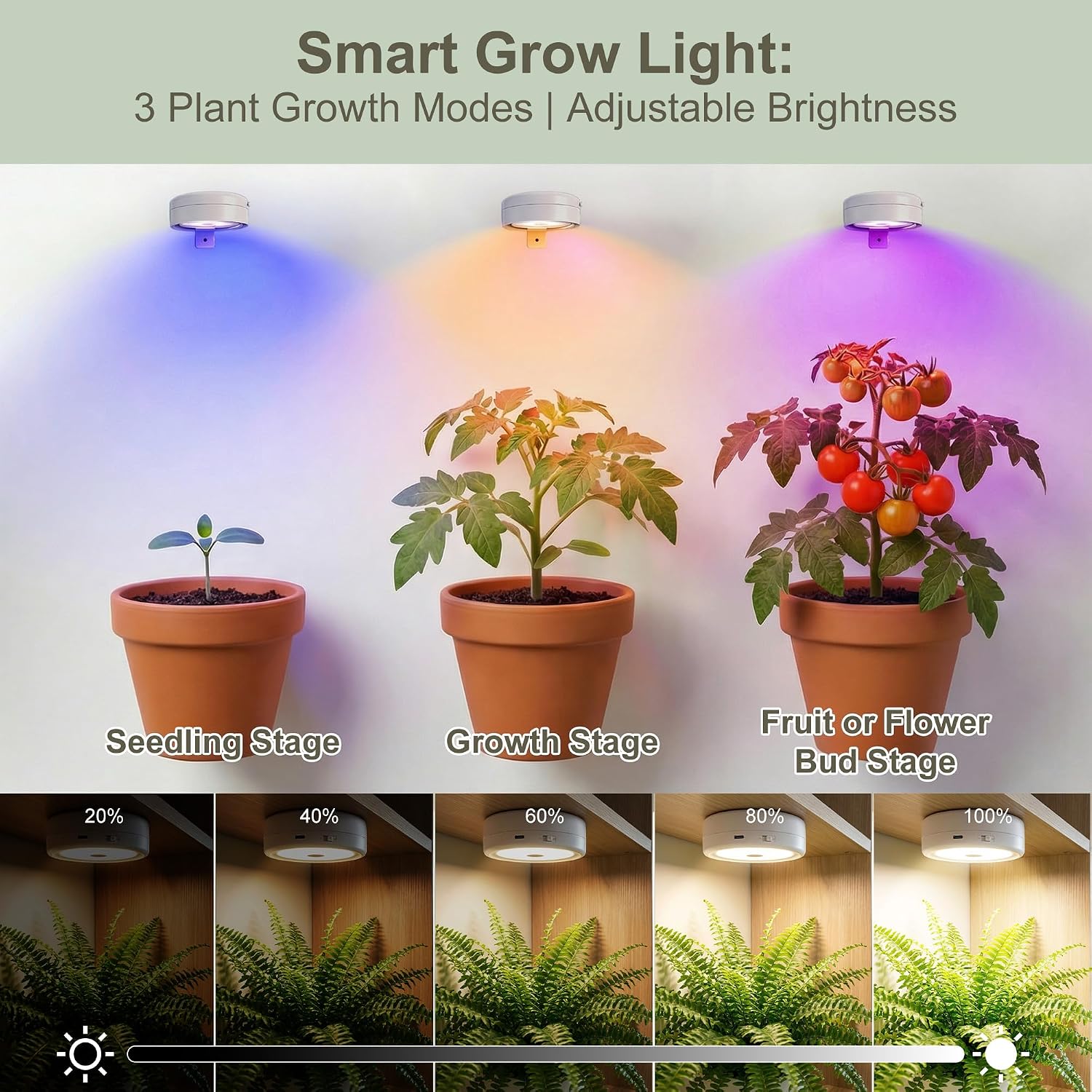 6 PC Rechargeable Grow Lights for Indoor Plants, Battery Powered Grow Light