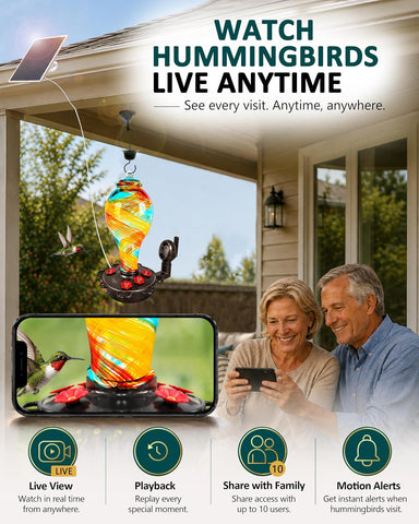 LUJII Smart Hummingbird Feeder with Camera for Outdoor Hanging, Hand Blown Glass, Solar WiFi Feeder with Live View App, 6 Feeding Ports, Leak-Resistant Design, Ant Moat & Gift Box, 36 fl oz, Ribbon