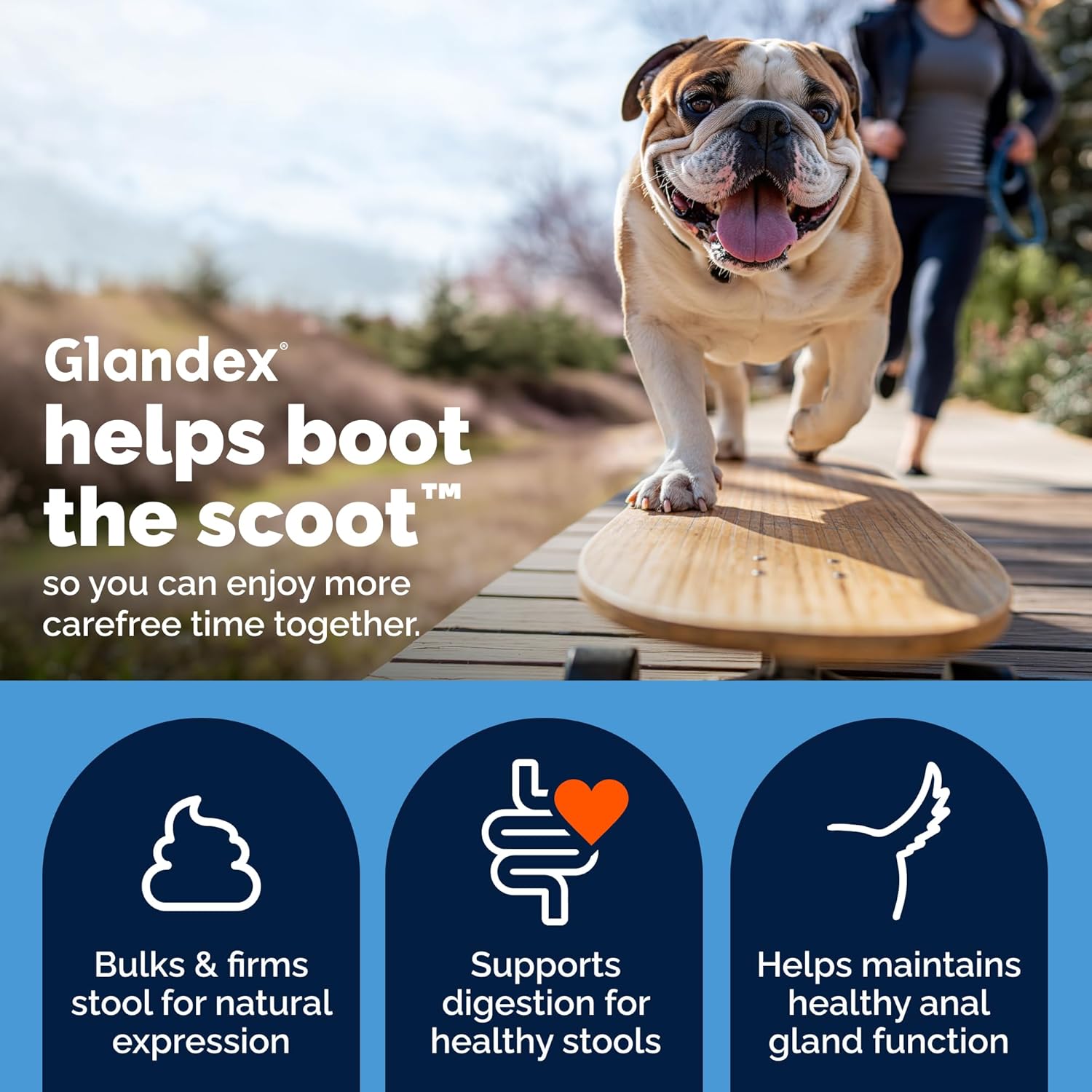 Vetnique Glandex for Dogs Anal Gland Chews 60ct Pumpkin + Digestive Enzymes