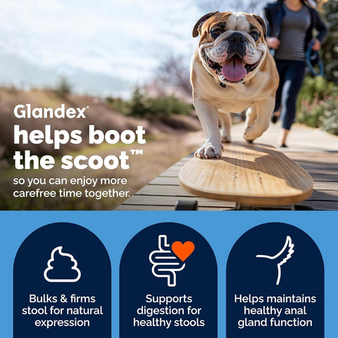 Vetnique Glandex for Dogs Anal Gland Chews 60ct Pumpkin + Digestive Enzymes