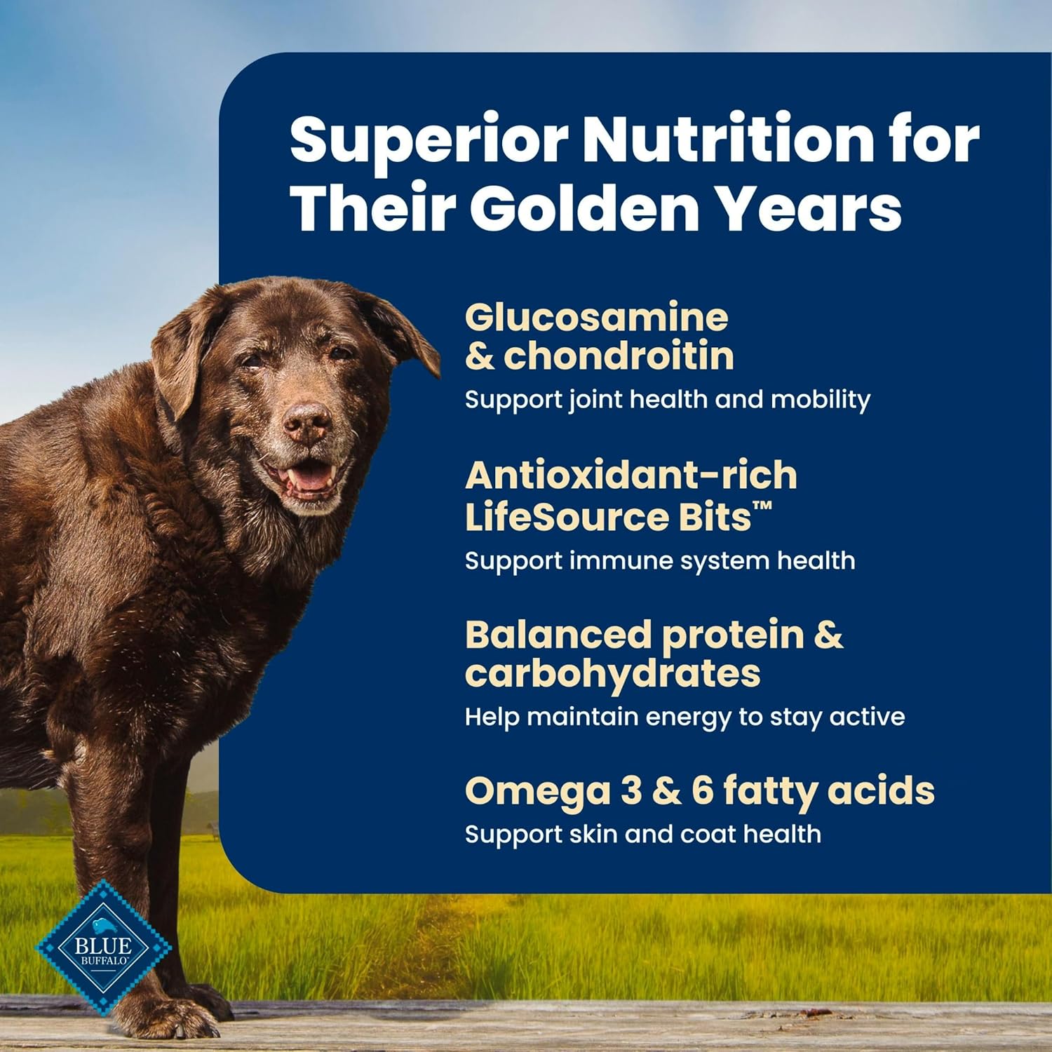 Blue Buffalo Life Protection Formula Chicken Senior 7+ Dry Dog Food, 5 lb