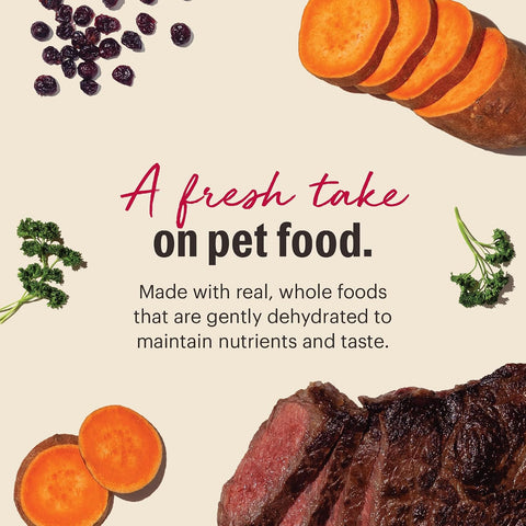 The Honest Kitchen Wholemade Grain Free Beef Recipe, Human Grade Dehydrated Dog Food, Just Add Water, Supports Healthy Digestion, Skin & Coat, Topper for Dry or Wet Dog Food, 7 lb Box Makes 28 lbs