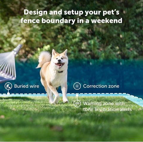 PetSafe Stubborn Dog In-Ground Fence Collar