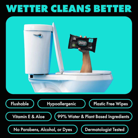 DUDE Wipes Mint Chill Adult Flushable Wet Wipes, Refreshing, 48 Count