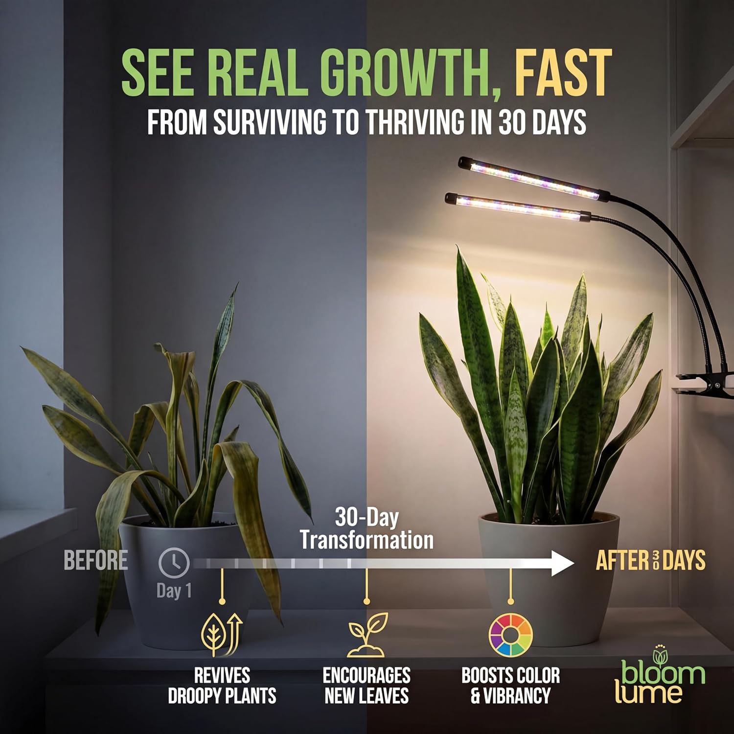 Bloom Lume LED Grow Lights for Indoor Plants Full Spectrum 6000K - Plant Grow Lights Indoor Features Multi Mode Color Spectrums (Red, White & Blue), Dimmable, Auto Timer, Clip on Gooseneck Plant Lamp