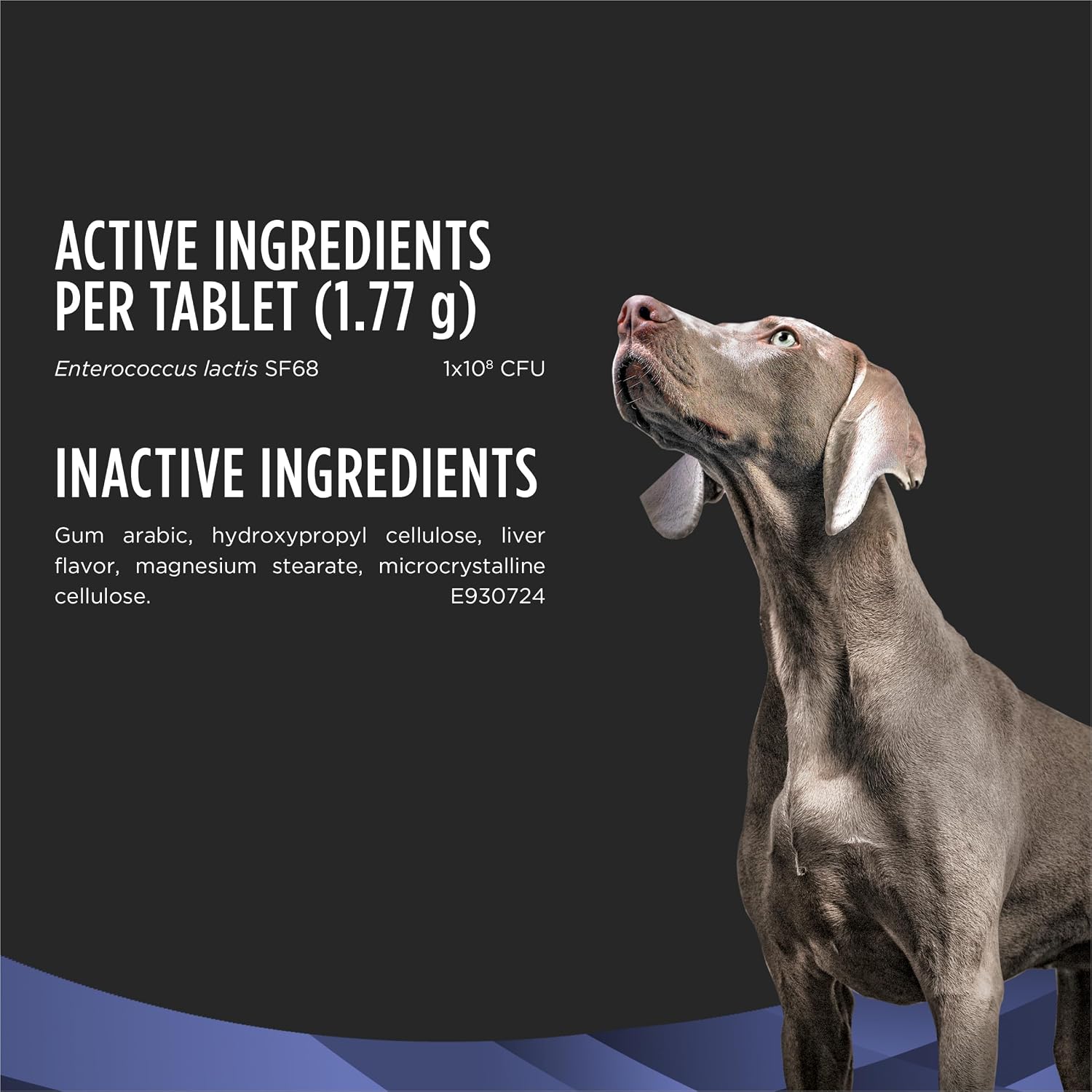 Pro Plan Veterinary Diets FortiFlora Chewable Probiotic Tablets for Dogs and Puppies, Digestive Health Support for Occasional Diarrhea Management, 45-Count