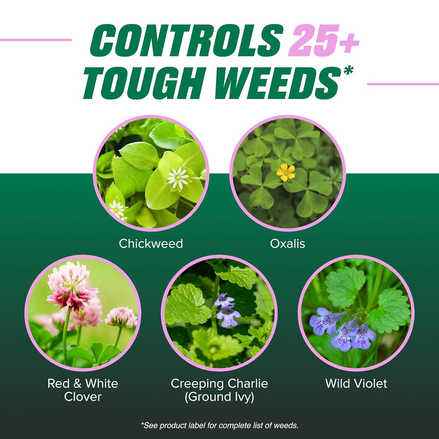 Ortho Chickweed, Clover & Oxalis Killer for Lawns Concentrate, 16 fl. oz.