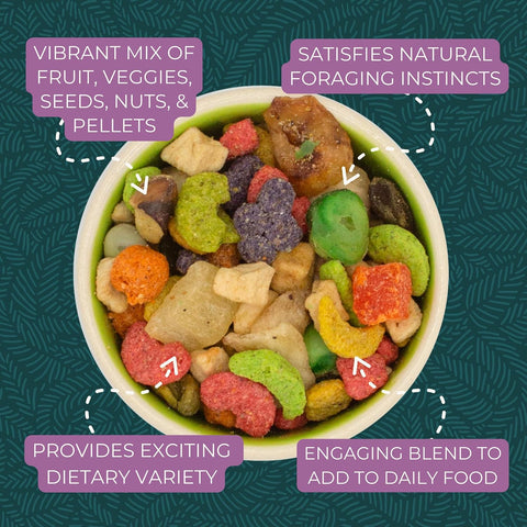 ZuPreem Pure Fun Bird Food, Cockatiel, Lovebird, Quaker, Small Conure, Lorikeet, Bird Seed and Pellets Blend for Medium Birds, ZuPreemEnriching Variety, Made in USA, Cockatiel Food, (Medium, 2 lb bag)