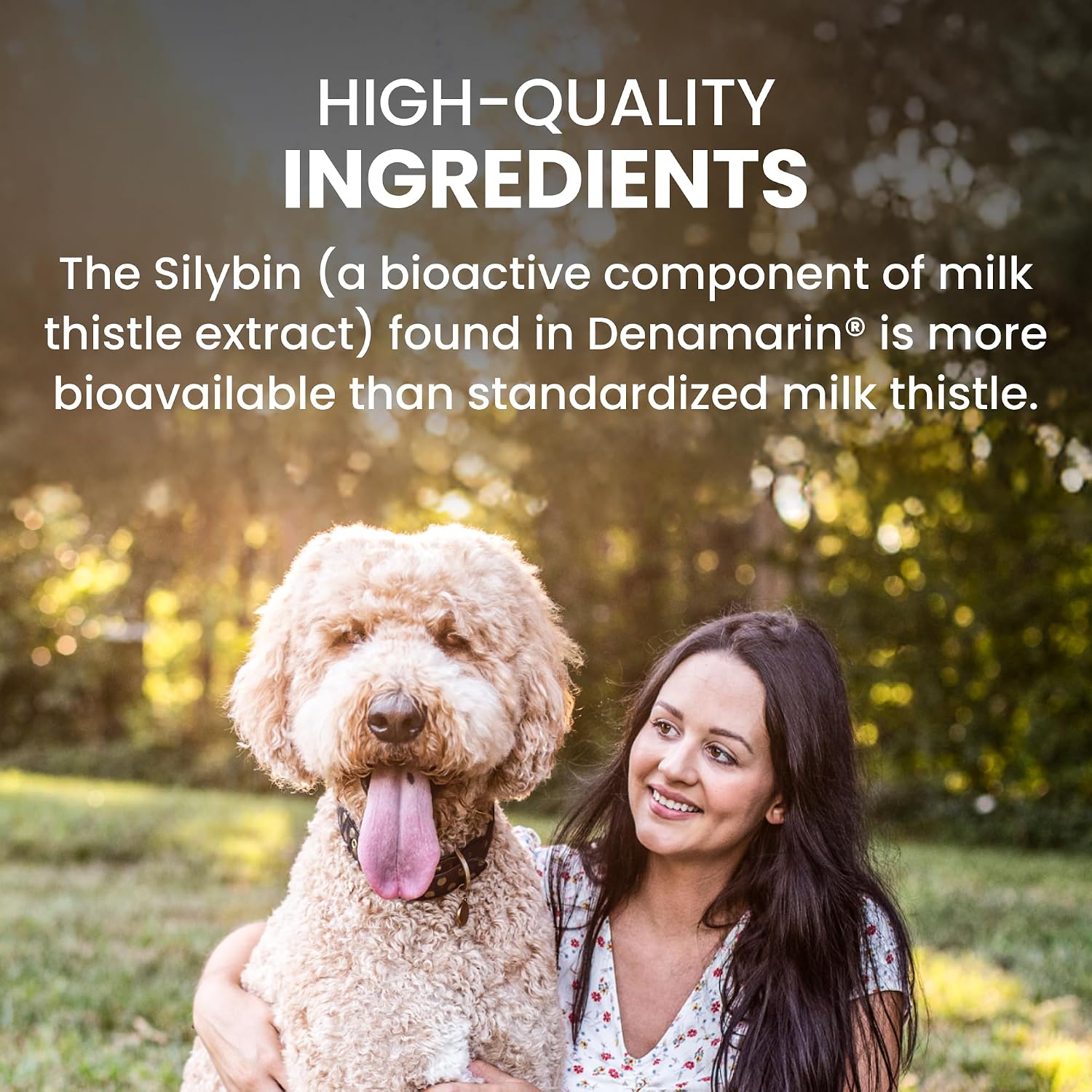 Nutramax Denamarin Liver Supplement for Large Dogs, Tablets, 30ct