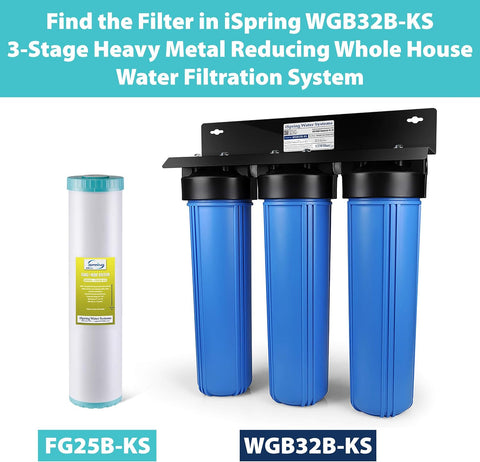 iSpring FG25B-KS Heavy Metals Reduction Whole House Water Filter