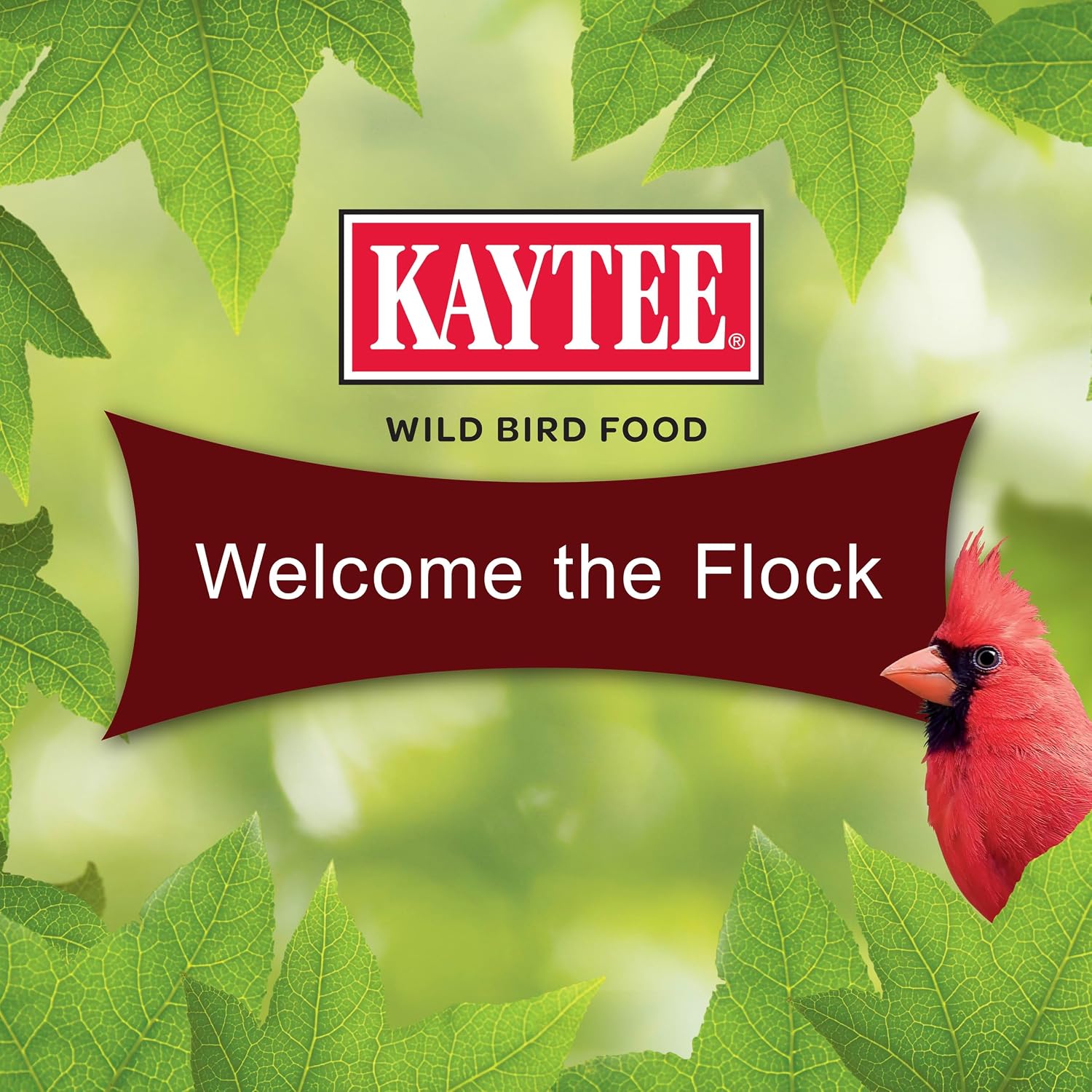 Kaytee Cardinal Seed Cake, Wild Bird Food, 1.85 Pounds