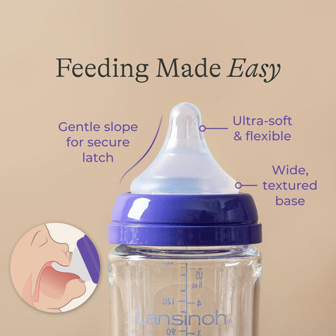 Lansinoh Anti-Colic Glass Baby Bottles, Purple Collar, 5 Ounces, 4 Count