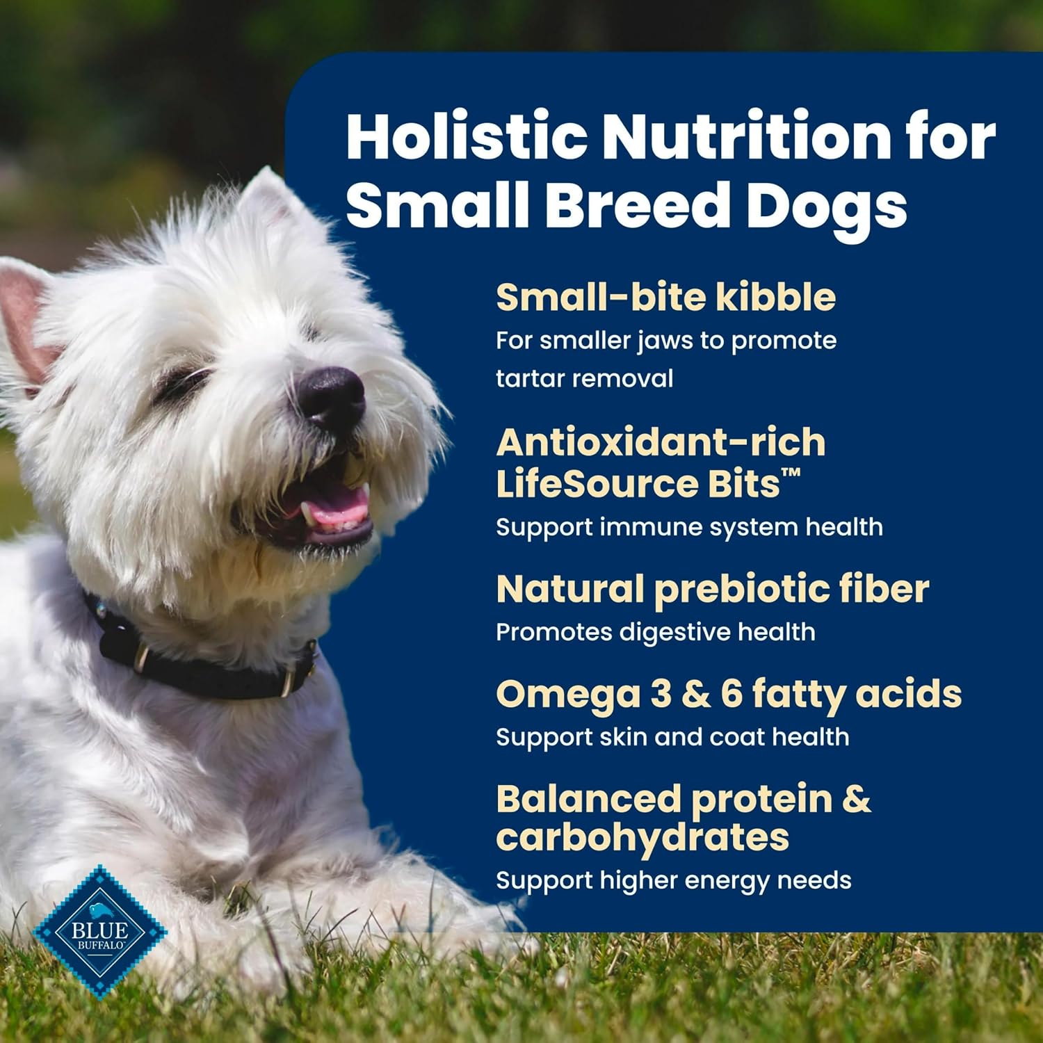 Blue Buffalo Life Protection Formula Chicken Small Breed Dry Dog Food, 5 lb