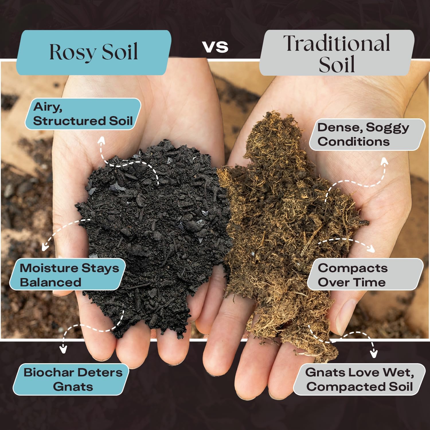 Rosy Soil Houseplant Potting Soil, Organic Indoor Potting Mix, 4 Quarts
