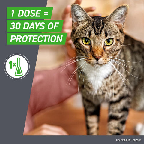 FRONTLINE Plus Flea & Tick Spot Treatment for Cat & Kitten (Green) Count of 3