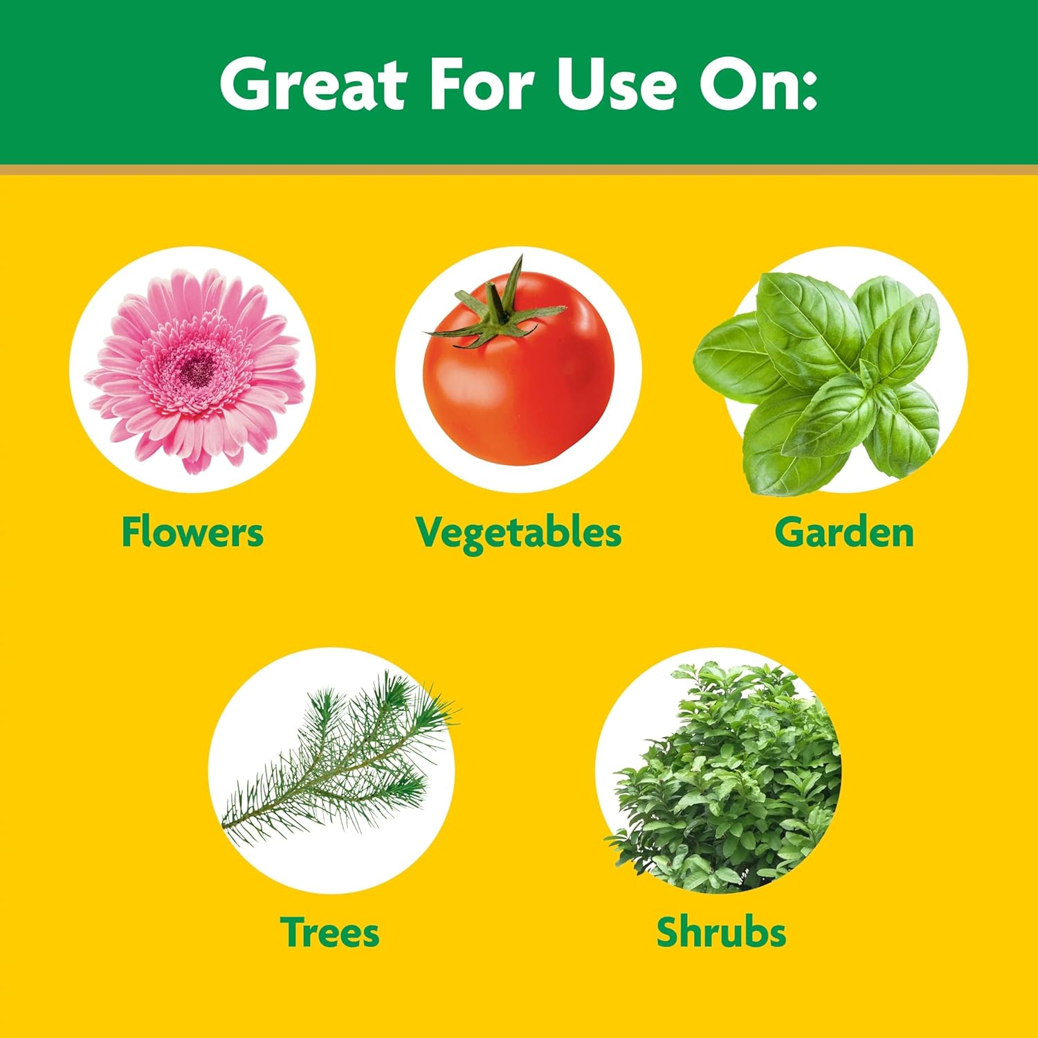Miracle-Gro Garden Feeder with Water Soluble All Purpose Plant Food, 1 lb.