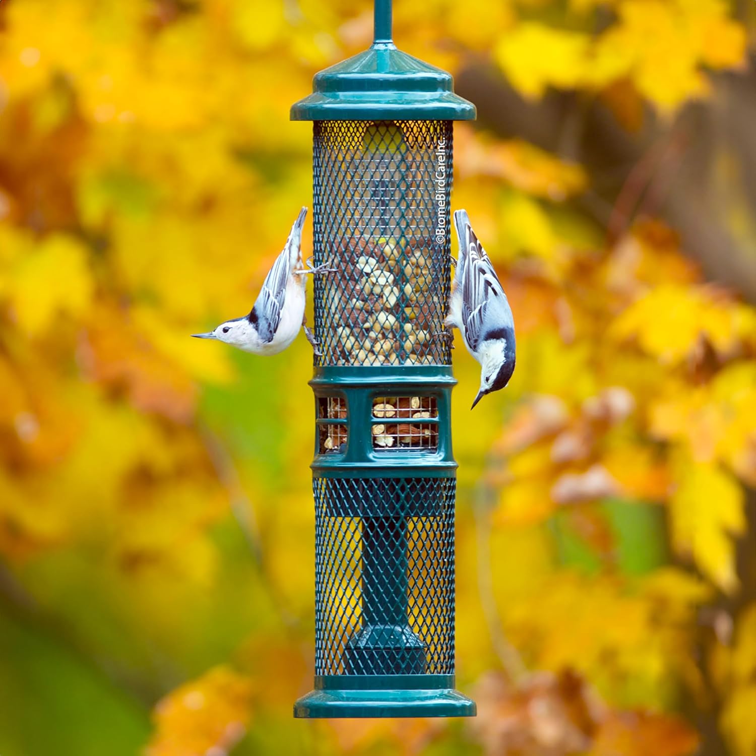 Squirrel Buster Nut Feeder Squirrel-Proof Bird Feeder for Shelled Peanuts & Dried Fruit, Weight-Adjustable, Woodpecker Friendly, 1.3lb Capacity with 2 Interchangeable Meshes