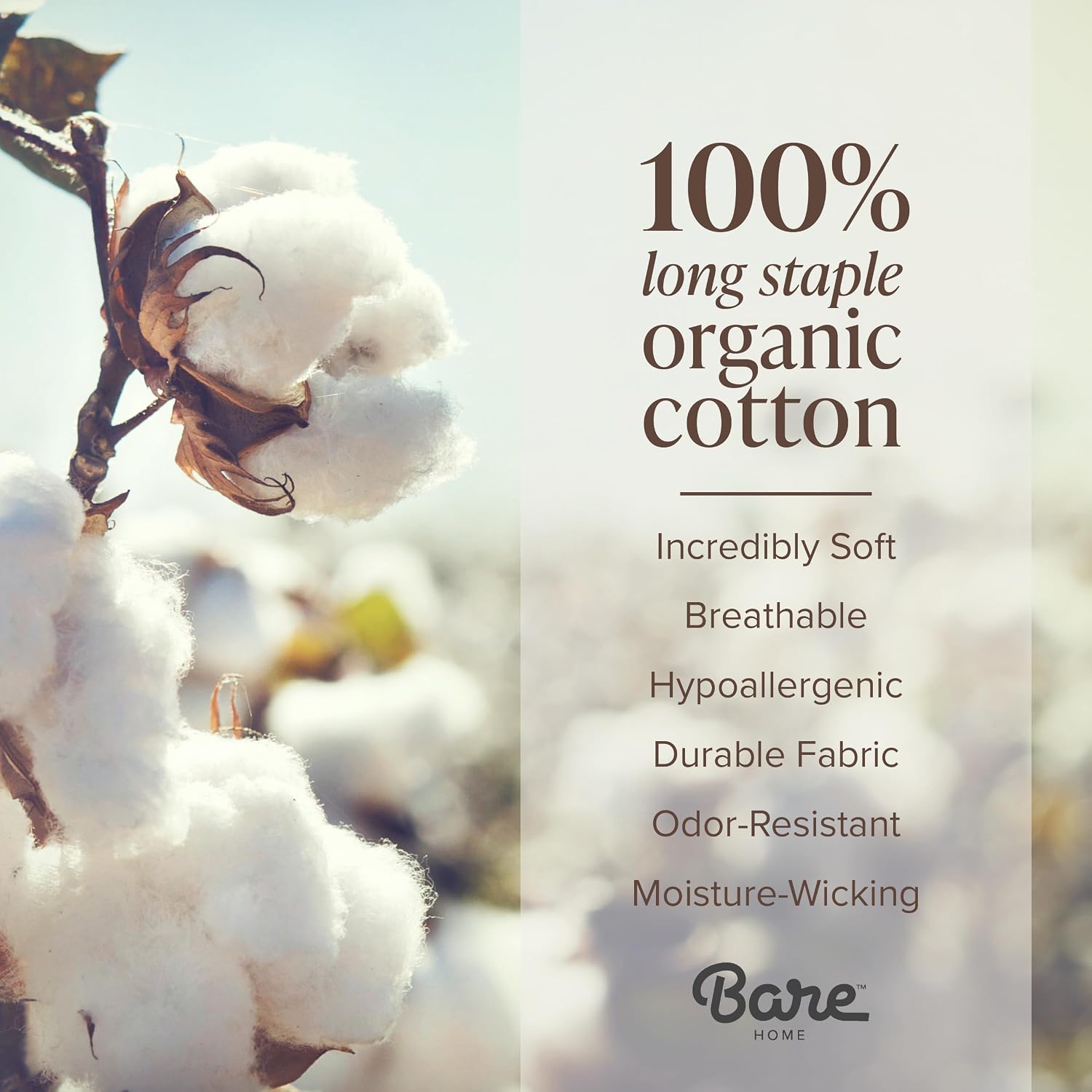 Bare Home 100% Organic Cotton Percale Duvet Cover Set (Queen, White)