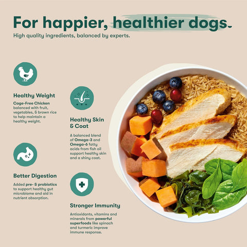 Jinx Puppy Dry Dog Food - Real Chicken, Brown Rice & Sweet Potato, 4lb