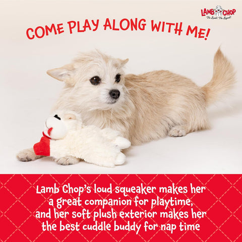 Multipet Lamb Chop Dog Plush Toy - Squeaky Toy for All Dogs - Extra Soft Plush - Stuffed Animal Dog Toy for Cuddling & Playing - Cute Pet Toy (6", Cream)