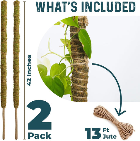 2pcs 42'' Real Forest Moss Pole Monstera Plant Support -Moisture Retaining