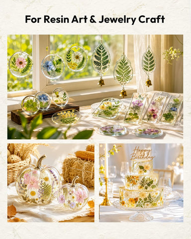 Dried Flowers, Resiners 100Pcs Pressed Flowers for Craft