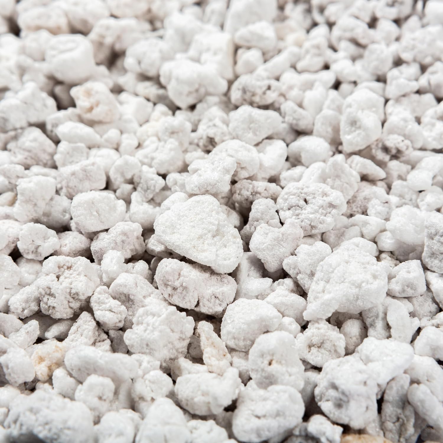 Perlite Bliss (16 Qts) - Organic Perlite for Plants Indoor Soil Amendment - Horticultural Perlite for Gardening & Seed Starting - Mixes Easily with Potting Soil, Vermiculite, & Coco Coir for Plants