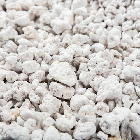 Perlite Bliss (16 Qts) - Organic Perlite for Plants Indoor Soil Amendment - Horticultural Perlite for Gardening & Seed Starting - Mixes Easily with Potting Soil, Vermiculite, & Coco Coir for Plants