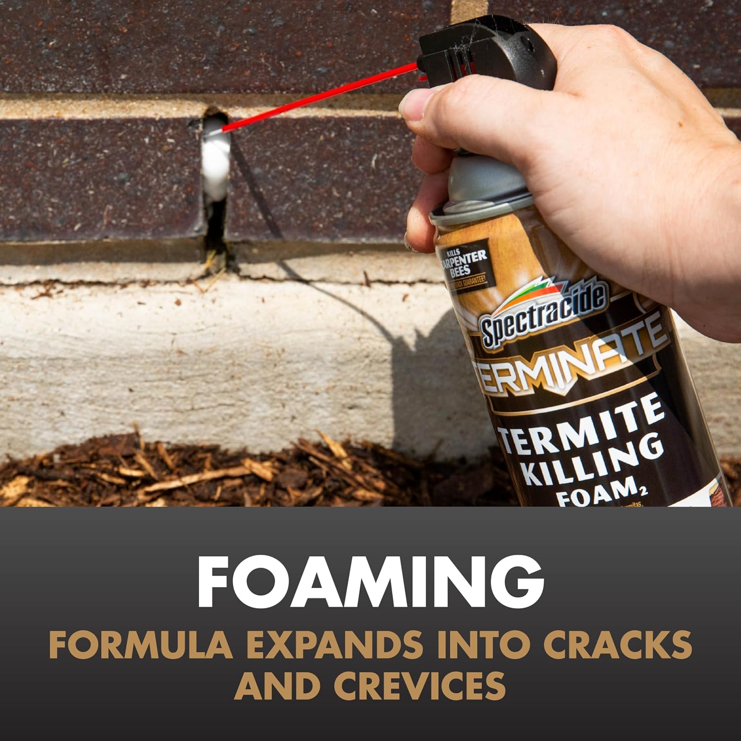 Spectracide Terminate Termite Killing Foam 16 Oz, Indoor & Outdoor