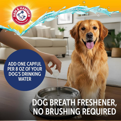 Arm & Hammer Complete Care Dog Dental Water Additive, 16 Fl Oz