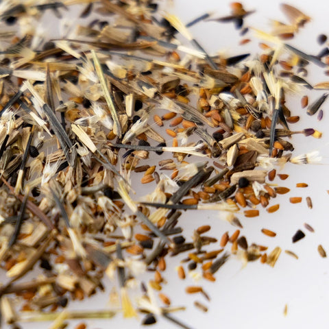 Mountain Valley Seed Co National Wildflower Seed Collection – Perennial Mix