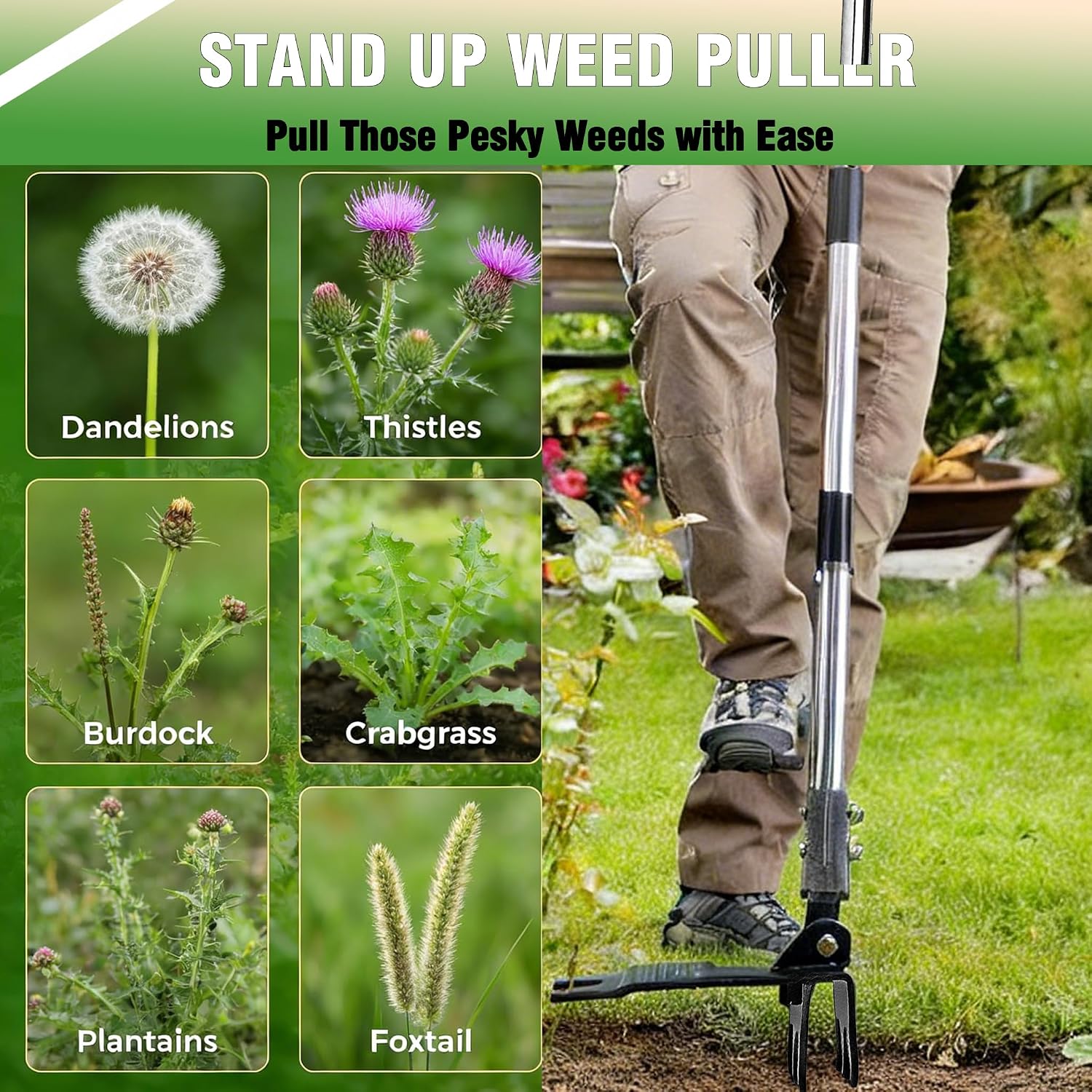 Weed Puller Tool, Stand Up Weed Puller with Stainless Steel Long Handle, 6-Claw Heavy Duty Steel Head, Weeder Tool for Garden, Easily Remove Weeds Without Bending/Kneeling